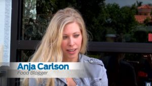 Local Florida Blogger, Anja (Ani) Carlson in her TV Interview with Naples News, Behind the Headlines. 